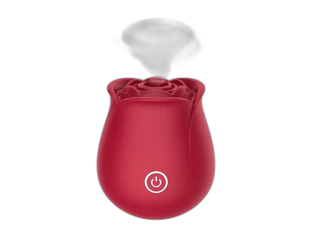 Vibrador Estimulador Succionador de Clítoris Rosa YS-BE244